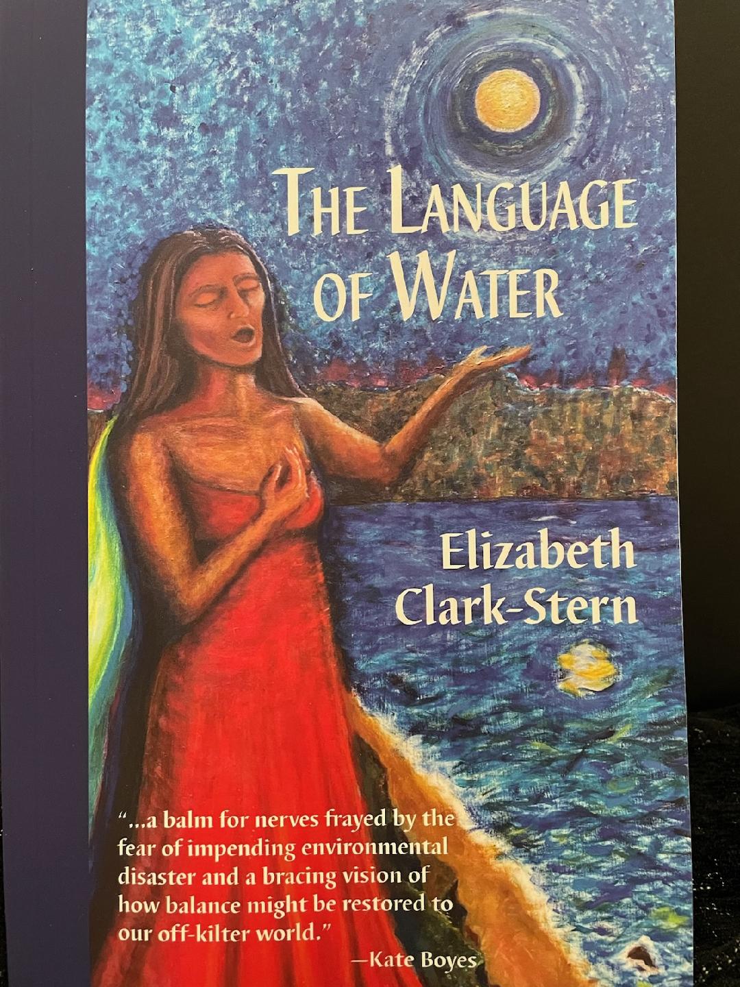 The Language of Water book cover